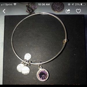 Alex and ani